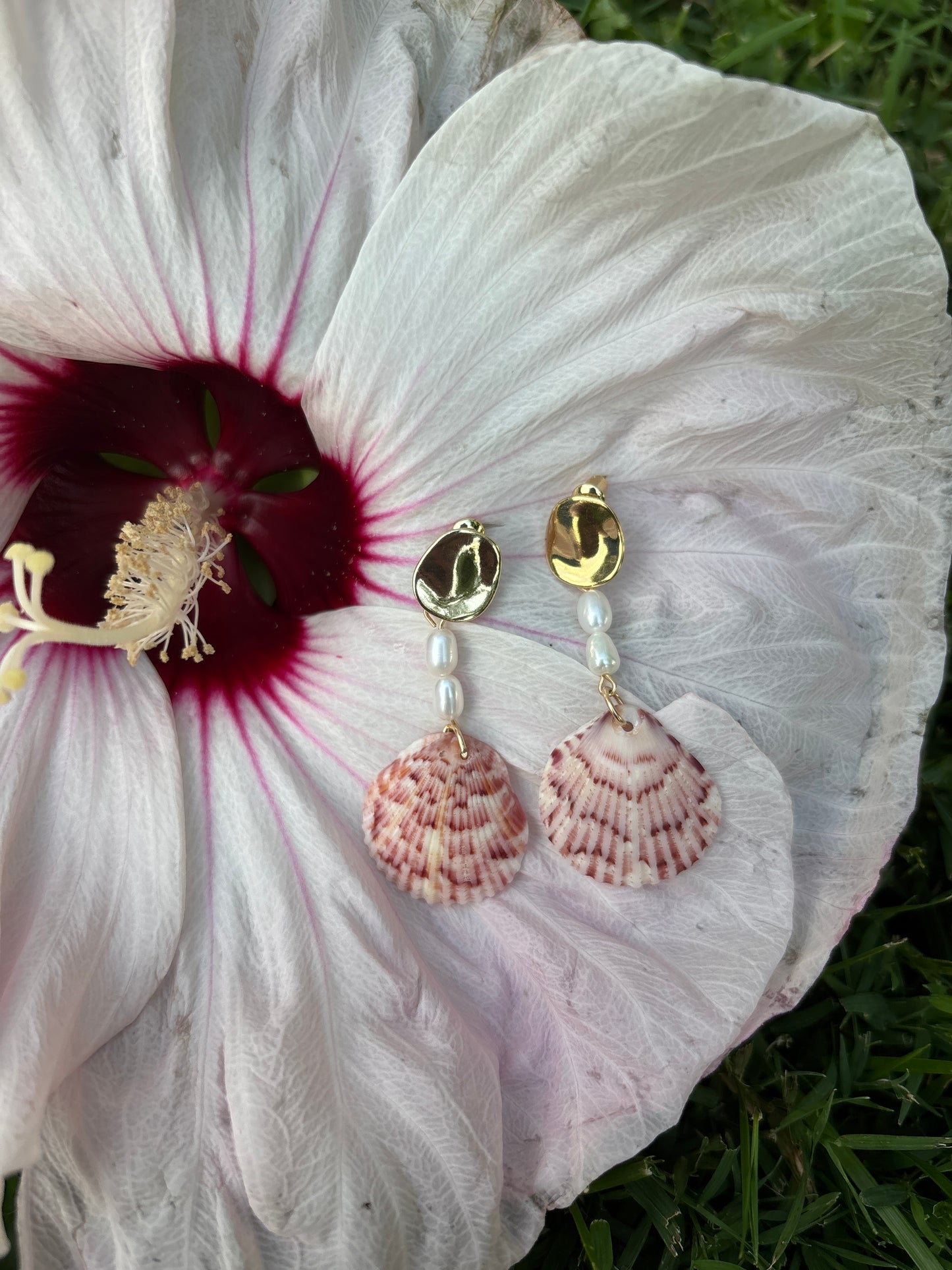 Seashell Earrings - One of a Kind