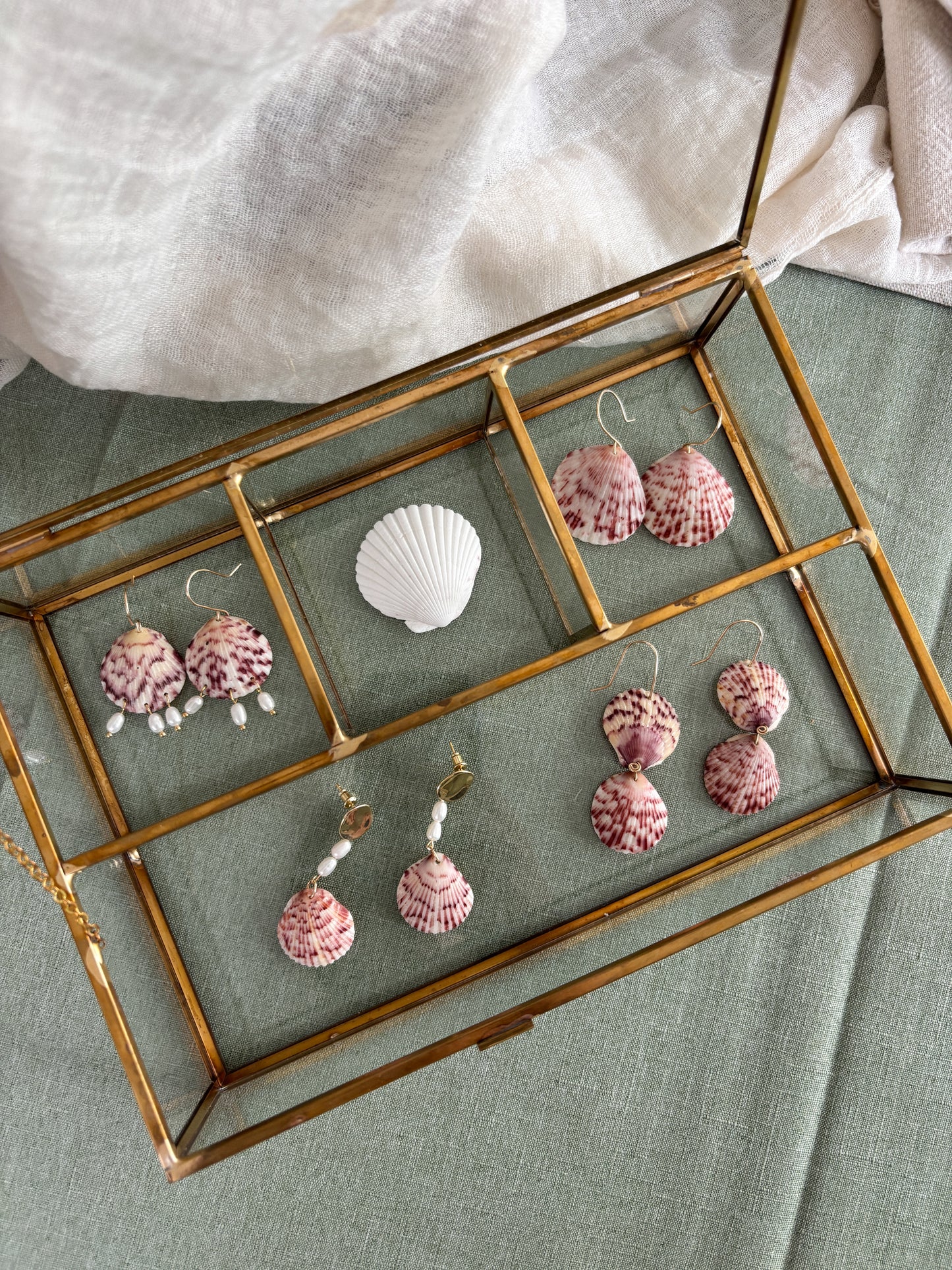 Seashell Earrings - One of a Kind