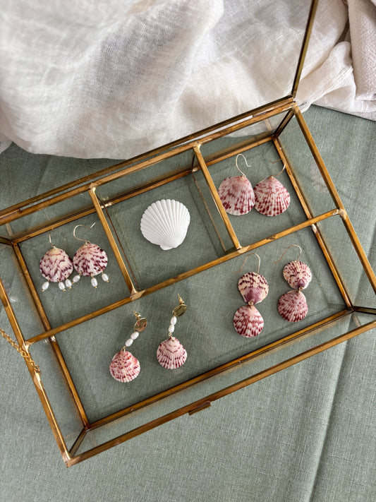 Seashell Earrings - One of a Kind
