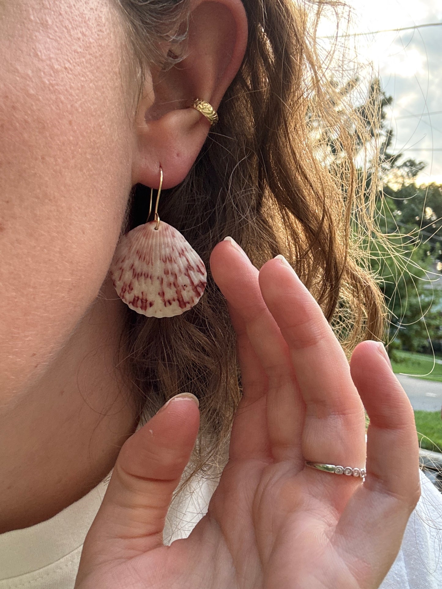 Seashell Earrings - One of a Kind
