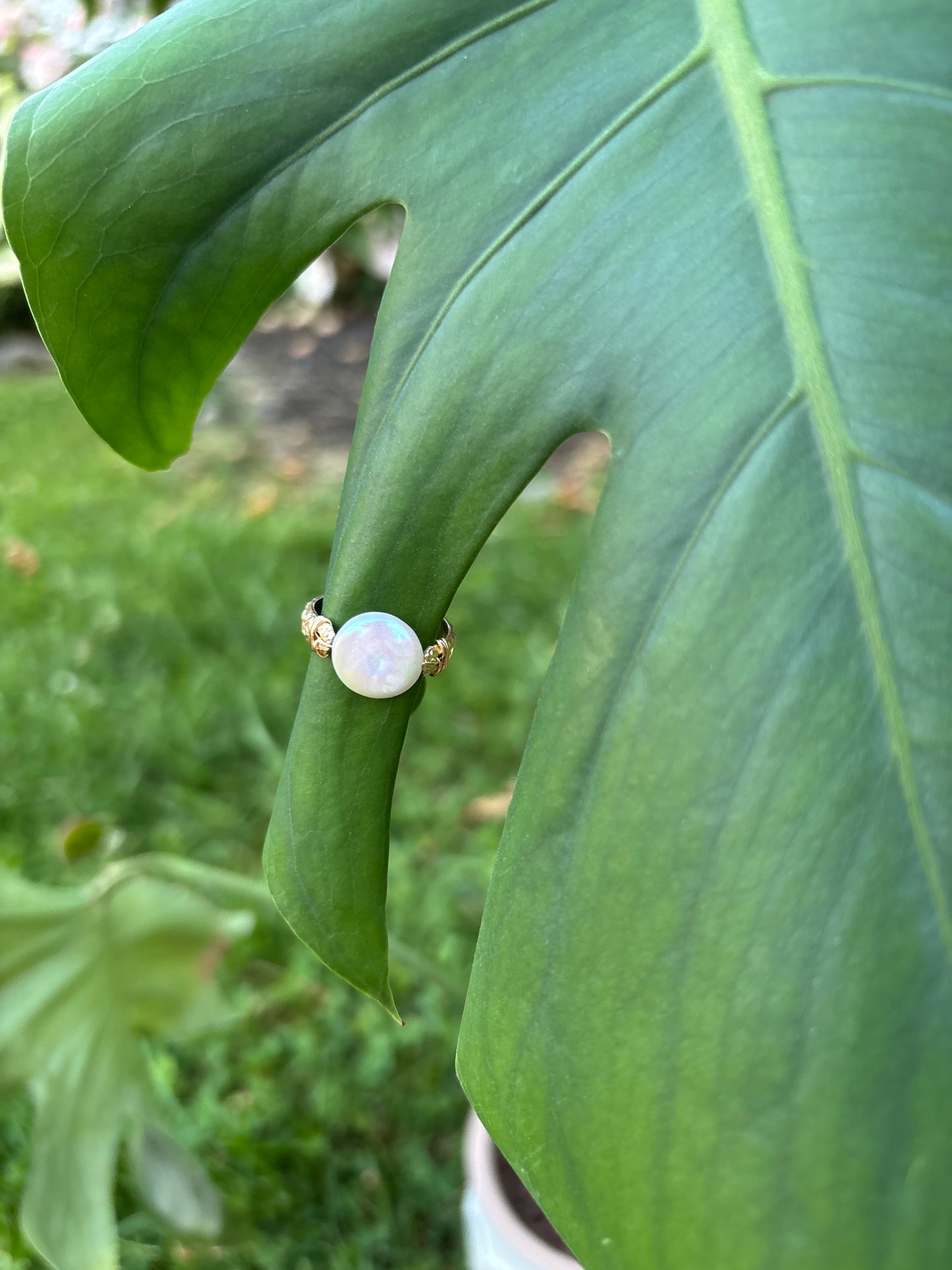 Luna ring