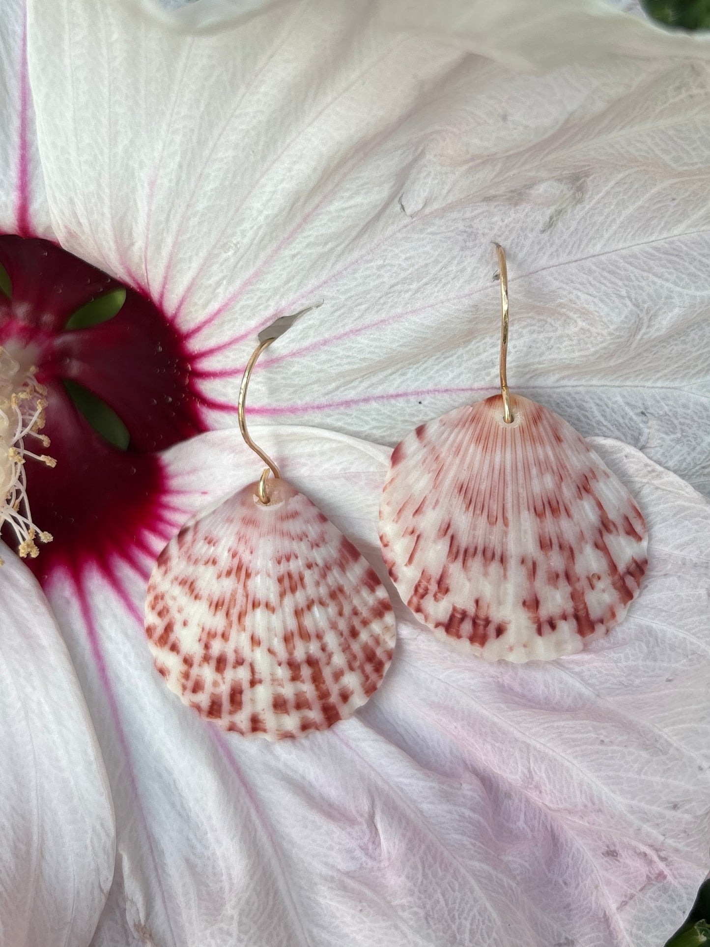 Seashell Earrings - One of a Kind