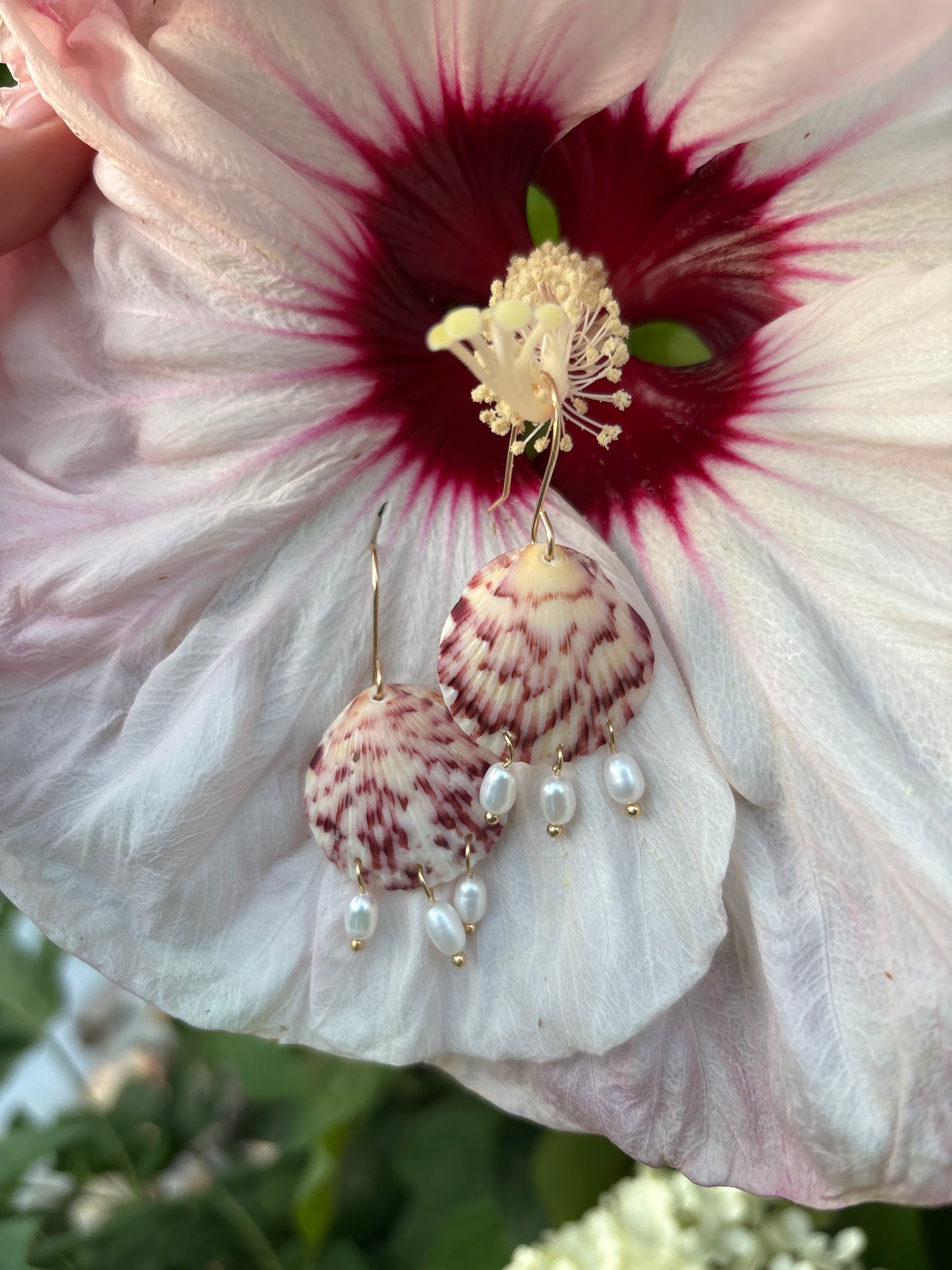 Seashell Earrings - One of a Kind