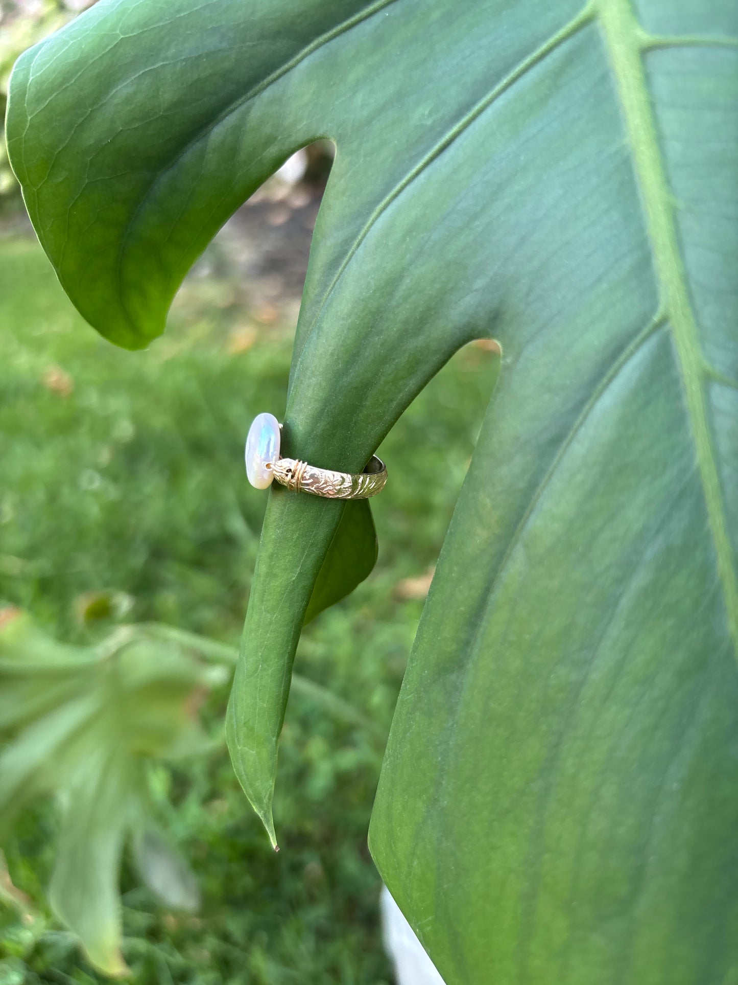 Luna ring
