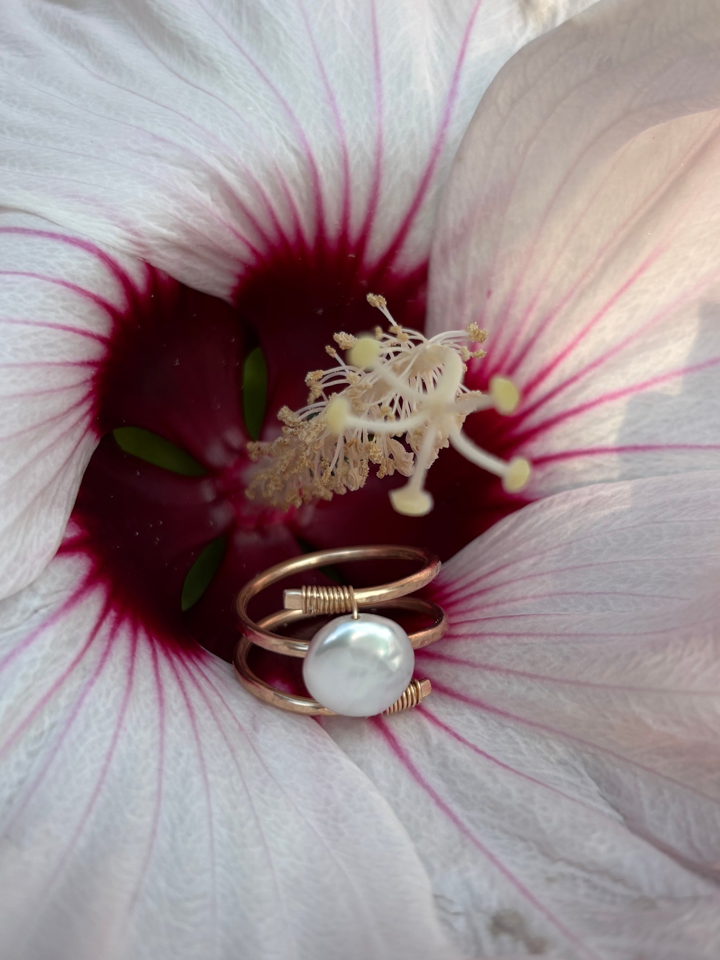 Orbit ring
