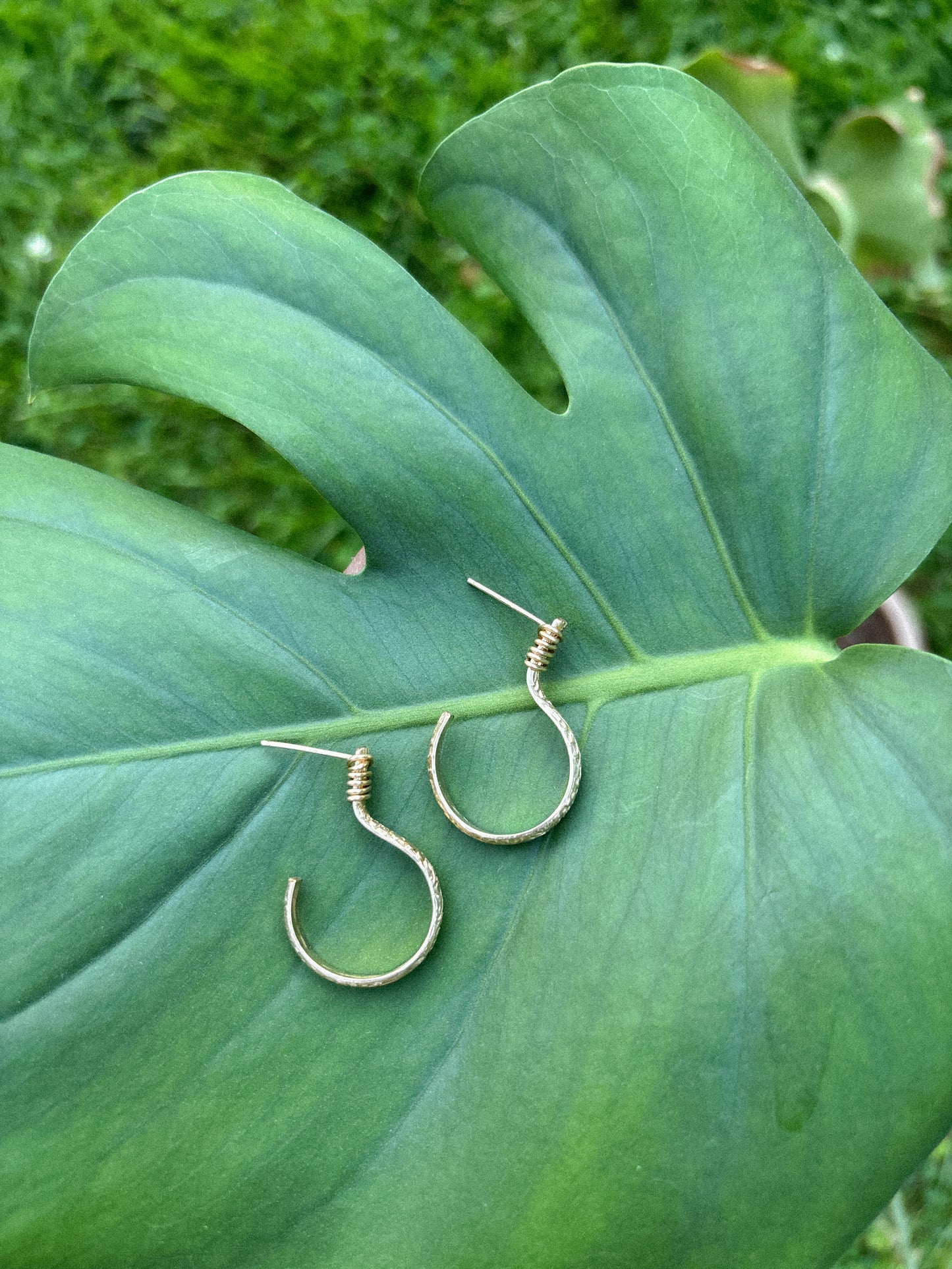 Flora Hoops